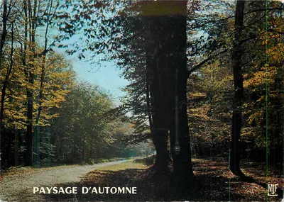 Paisagem de Outono — Edição M. FAROU, 87 — M.J.F.