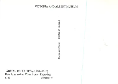 Exotische vogels — gravure van Adrian Collaert — Victoria and Albert Museum — Achterkant