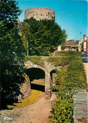 Os fosso do castelo — Dourdan (Essonne) — Edições Raymon, n° 3.17.00.004