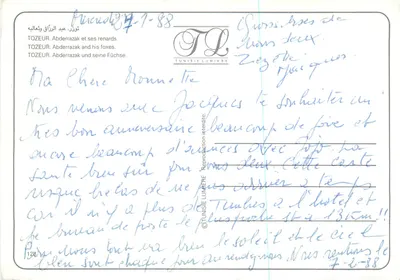 Tozeur — Abderrazak i jego lisy — Tunisie Lumière n°128 — Rewers
