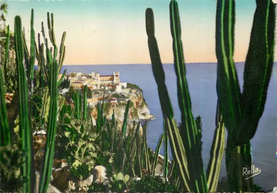 O Rocho de Mônaco — vista do Jardim Exótico — Edições Bella, NICE, n°141