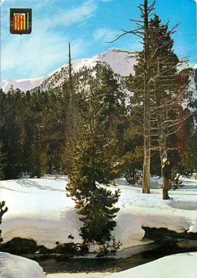 Vall de Bohí — Parque Nacional d'Algues Tortes — Editor CEDOSA, n° 5731