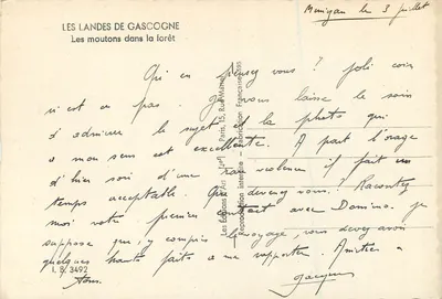 Le Landes della Gasconia — I pecori nella foresta — Edizioni Art Jeu — Verso