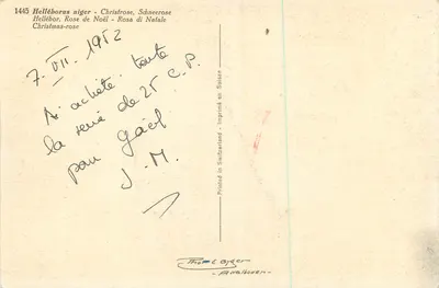 Hellébore negro — Helléborus niger — editor Th. & C. Ayer, Adelboden — n° 1445 — Verso