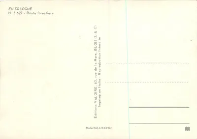 W Sologne — Droga leśna — Éditions Valoire — Rewers