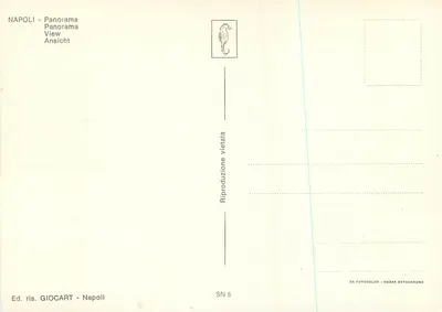 Naples — Panorama — widok z wysokiego punktu z dużym sosnem — wydawca GIIOCART, seria SN 6 — Rewers