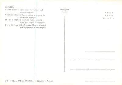 Amphora attique à figure noire provenant de l'oratoire hypogée — Paestum — Éd. D'Anzillo Mariannina, n° 56 — Rewers