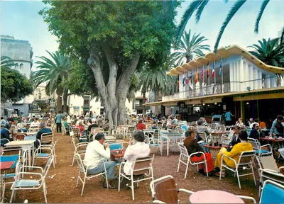 Praça do Charco — Puerto de la Cruz — Edições Ro-Foto n°680