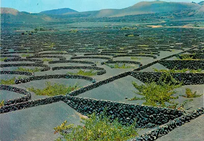 Vindas na zona sul — Lanzarote — Ed. Beascoa n° 5063