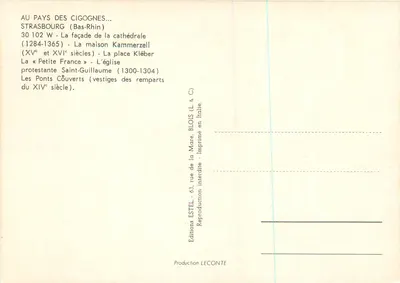 Strasbourg — Krajobraz krolików — Wydawca Estel, nr 30 102 W — Rewers