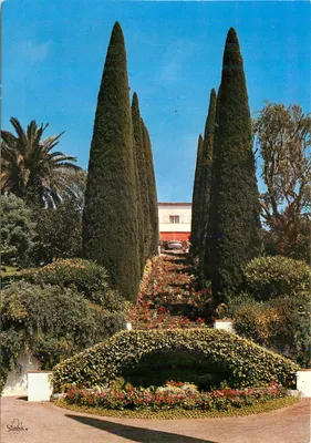 Jardim em Le Cannet — Costa Azul — Éditions SIMBA