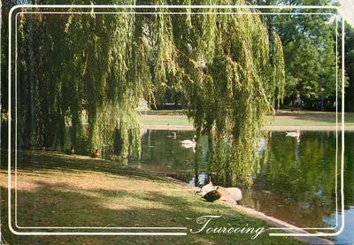 Tourcoing — Parc Clemenceau — Édition MAGE