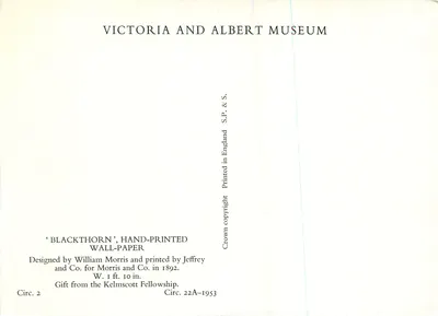 Blackthorn — papel pintado a tinta — Victoria and Albert Museum — Reverso