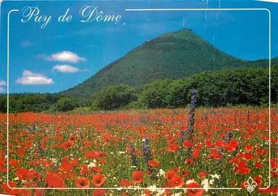 Puy de Dôme — Campo de papoulas ao pé do Puy de Dôme — Éditions du Lys, n°1249