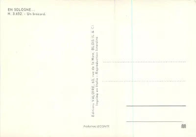 Czerwony w lesie białych drzew — Valoire — Wydawnictwo Valoire, nr H.5.652 — Rewers