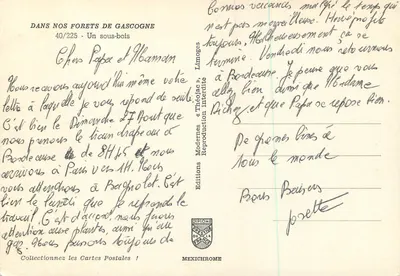 Floresta de Gascogne — Um sub-bosque — IRIS — Verso