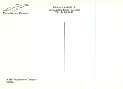 Gregge in Queyras — Ceillac — Foto Nicolas Fournier, Edizioni LA GOELLE — Verso