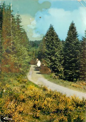 Floresta de Montivers — Ardèche — Impressor Combier