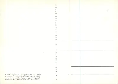 Szwajcarskie antylopy — scena polowa — Verlag Gebbr. Mann, Berlin — Rewers