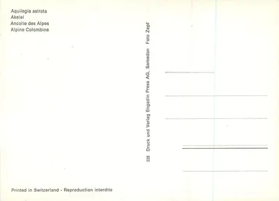 Aquilégia astrata — Ancolie Alpów — Samedan AG, nr 335 — Rewers