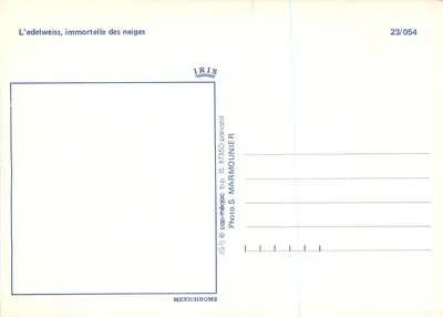Edelweiss — imortal das neves — IRIS, n°23/054 — Verso