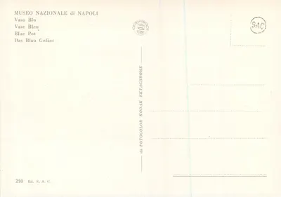 Sztuczna Północna Pocztówka — Muzeum Narodowe w Neapolu — Wydanie S.A.C. nr 250 — Rewers