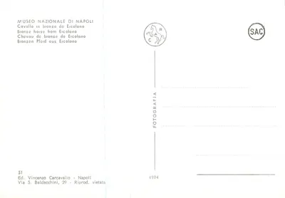 Cavallo in bronzo da Ercolano — Museo Nazionale di Napoli — Ed. Vincenzo Carcavallo — Verso