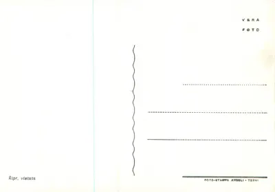 Lucca, S. Frediano — editore ANGELLI - TERNI, n° 20 — Verso