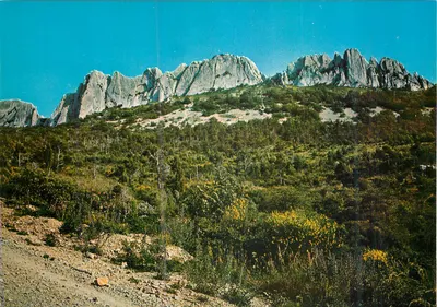 As Dentelhas de Montmirail — Vaucluse — Edições Les Belles Images de Provence, n° 3065