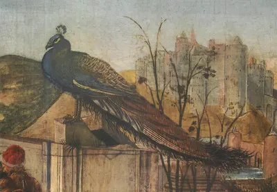 Pavão em um muro — vista de castelo no fundo — pintura italiana