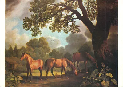 Três cavalos sob uma grande árvore — reprodução de uma pintura — editor não visível