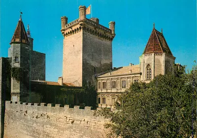 Castelo dos Ducs de Borgonha — vista das torres e muralhas — editor não visível