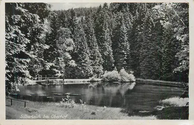 Silberteich bei Oberhof — lago nevado cercado por floresta — carta postal antiga