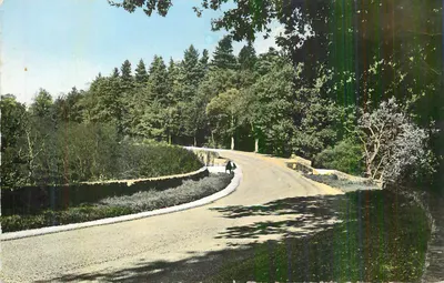 Estrada sinuosa em um parque florestal — editor não identificável