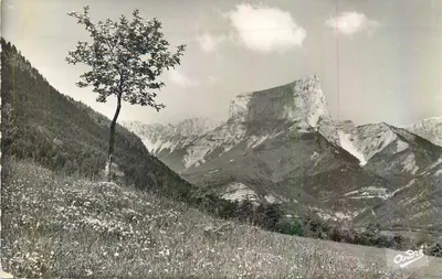 Ardeche — Visão das montanhas com uma árvore solitária — André