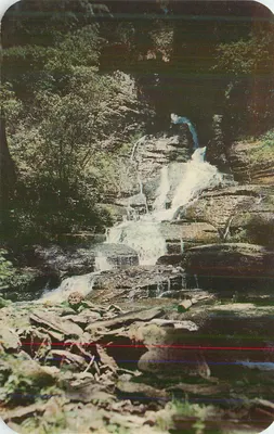 Cachoeira em uma floresta — editor não identificável