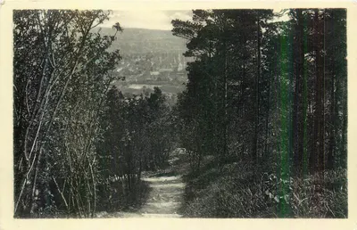 Vista de aldeia a partir de uma floresta — editor não visível