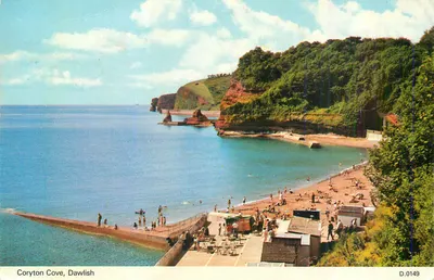 Coryton Cove, Dawlish — vista da baía e das falésias — D.0149