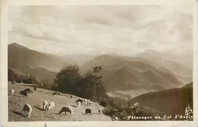 Pastos no Col d'Aspin — vista de montanha com rebanhos — editor G. Léa, n°4