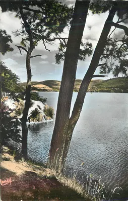 Lago de Sainte-Croix — vista dos pinheiros — Laney