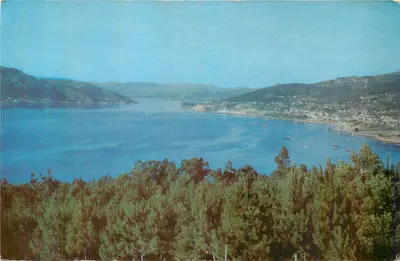Vue do golfo de Kotor — Montanha e floresta no primeiro plano — editor não visível