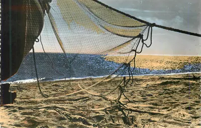 Rede de pesca na praia — PAP