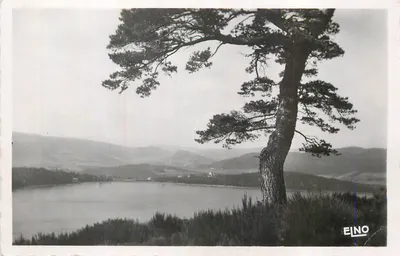 Árvore solitária na beira de um lago — montanhas no fundo — EINO