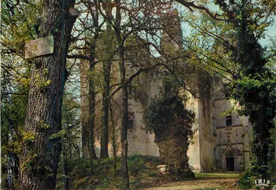 Castelo da Motte — ruínas cercadas por floresta — editor IRIS