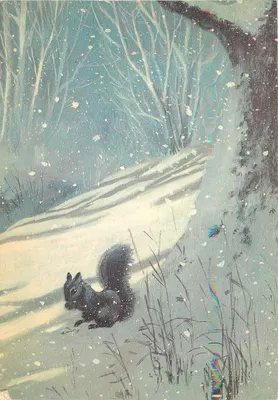 Rato preto na neve — floresta invernal — editor não visível