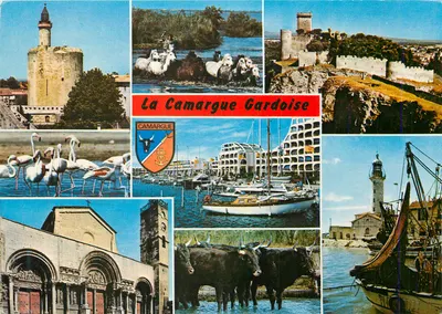 A Camargue Gardoise — Camargue