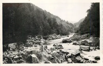 Rio encaixado em um canyon florestal — editor não identificável, número de série não visível