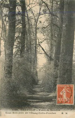 Chaville — Floresta de Mendon — Sob a Floresta perto do Lago Colin-Porcher — E. M.