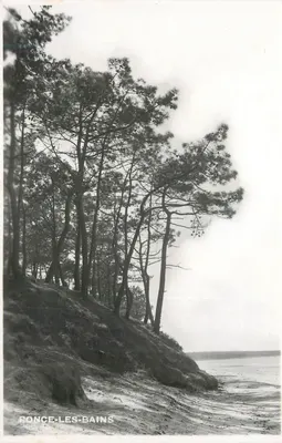 Ponce-les-Bains — Vista da praia cercada de pinheiros — editor não identificado