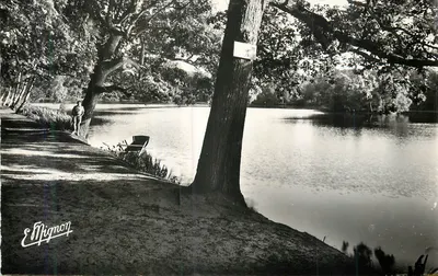 Lago em um parque arborizado — Editor E. Mignon